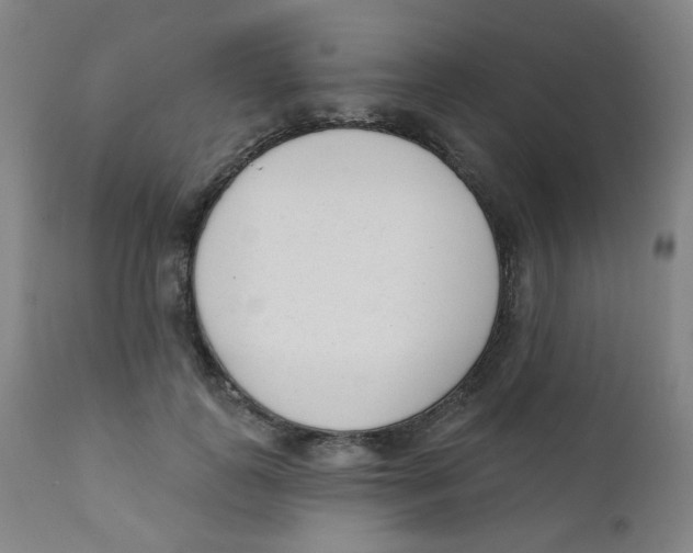 X0000111610747200908141253
