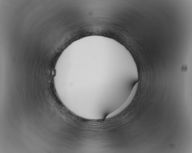 X0000111610750200908141253