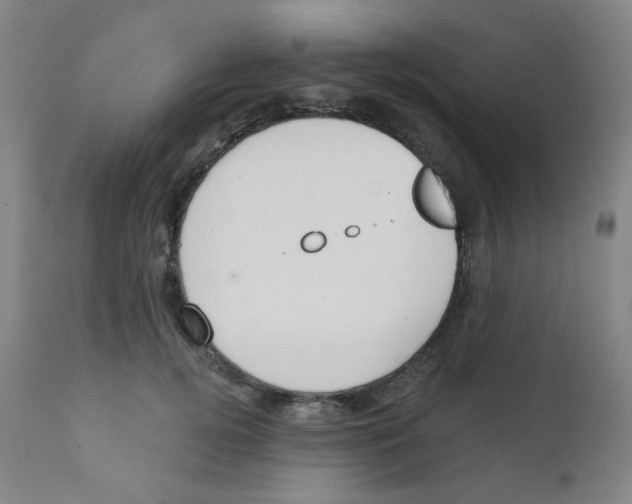 X0000111610752200908141253