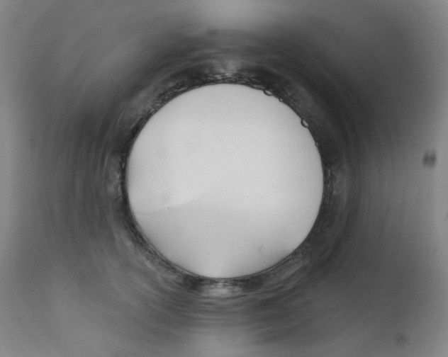 X0000111610754200908141253