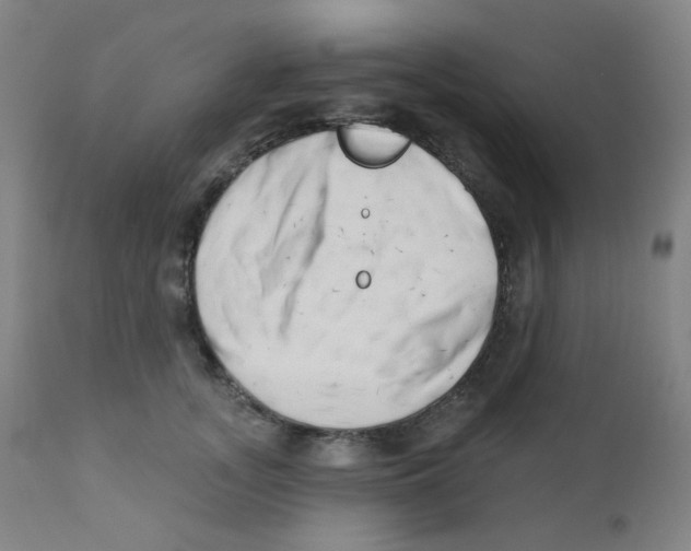 X0000111610755200908141253