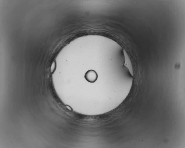 X0000111610756200908141253