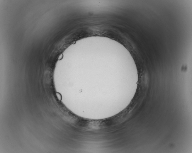 X0000111610757200908141253
