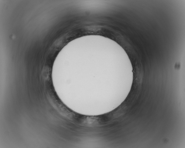 X0000111610758200908141253