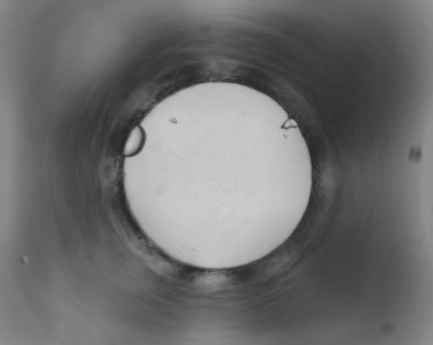 X0000111610759200908141253