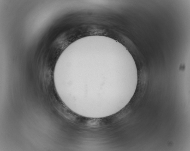 X0000111610761200908141253