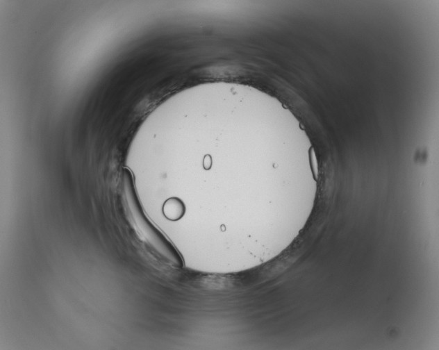 X0000111610762200908141253