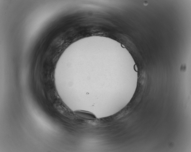 X0000111610763200908141253