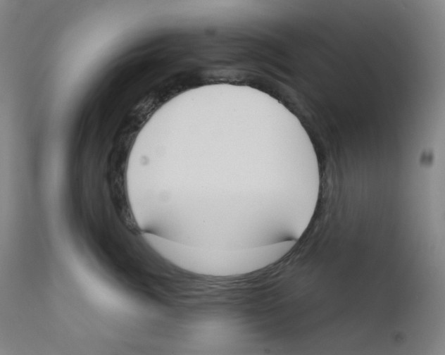 X0000111610764200908141253