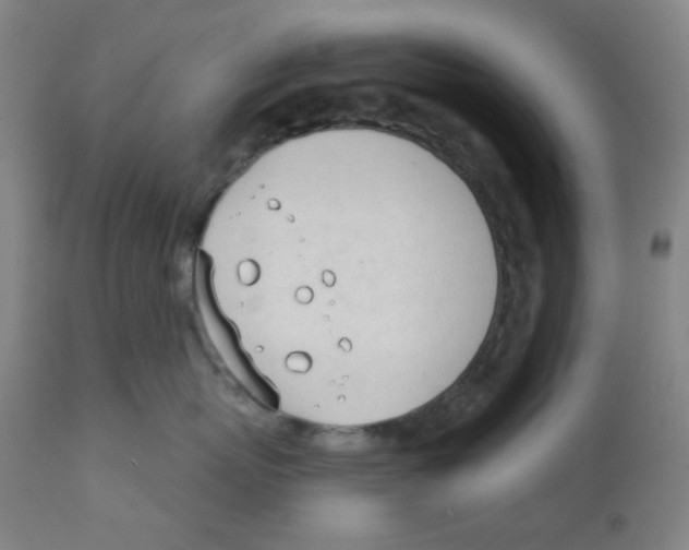 X0000111610767200908141253