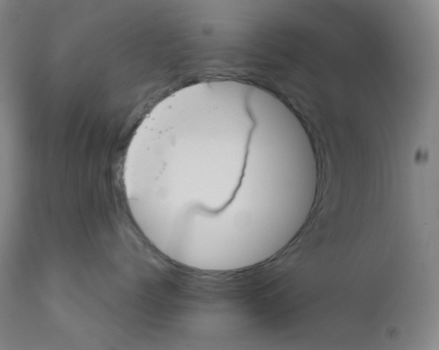 X0000111610768200908141253