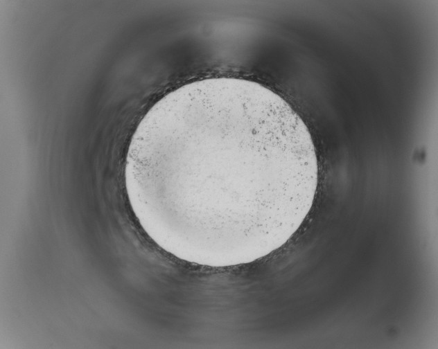 X0000111610769200908141253