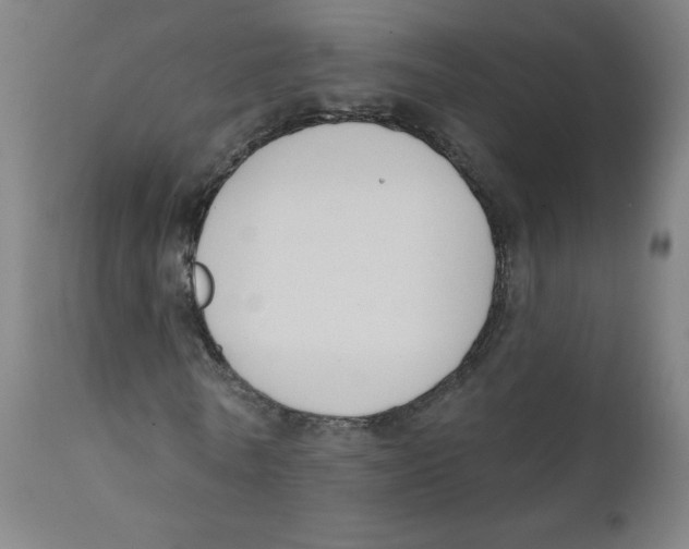 X0000111610770200908141253