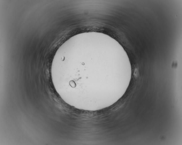 X0000111610771200908141253