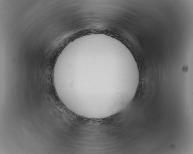 X0000111610773200908141253