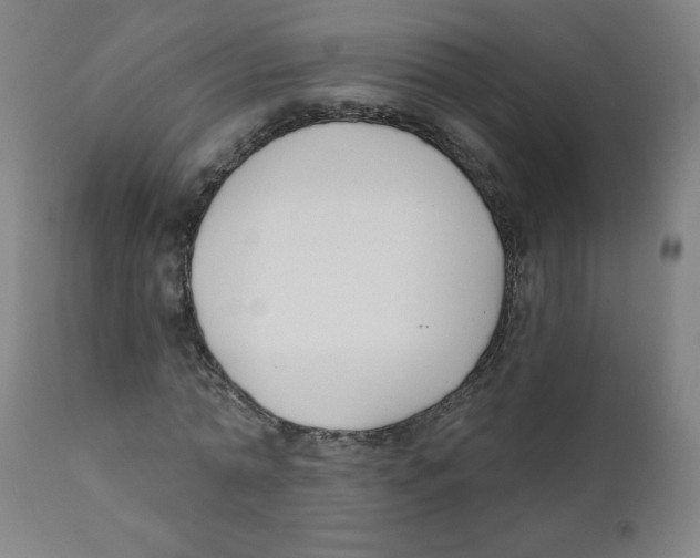 X0000111610774200908141253