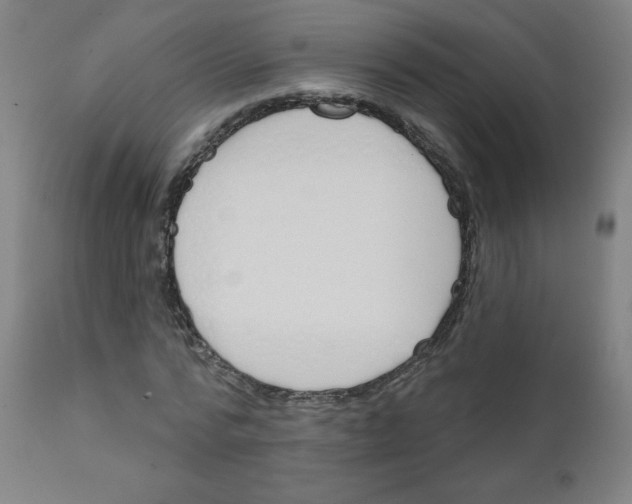 X0000111610776200908141252