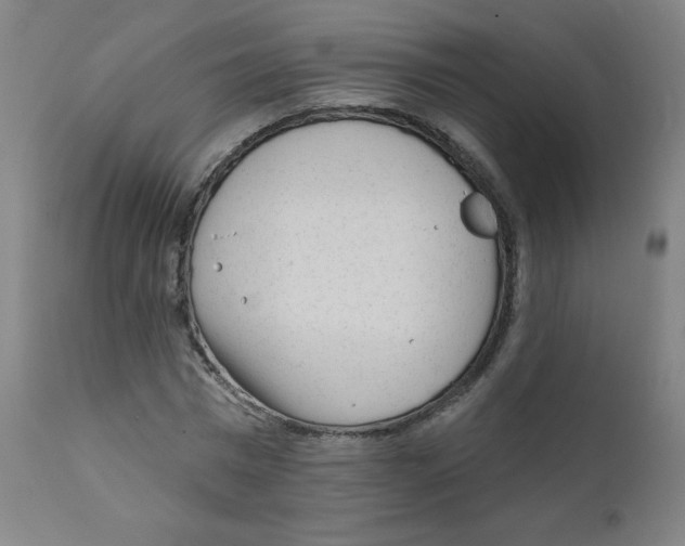 X0000111610777200908141252