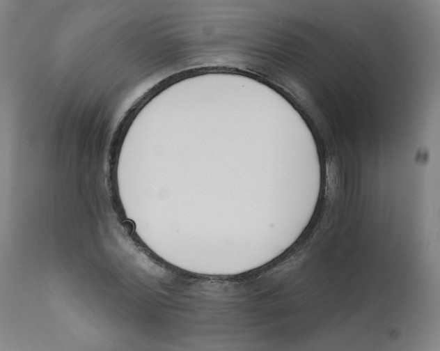X0000111610780200908141252