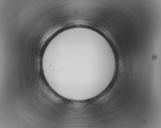 X0000111610782200908141252