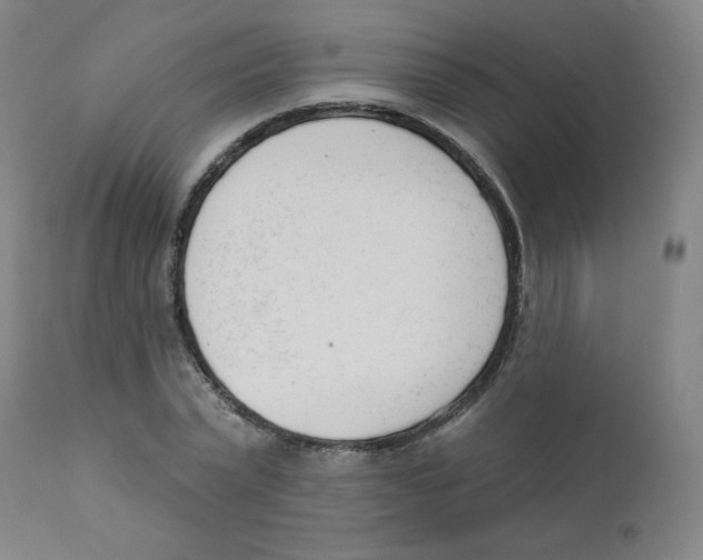 X0000111610783200908141252