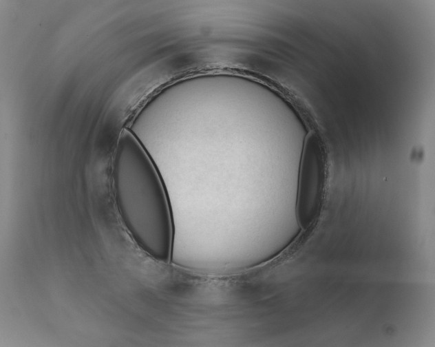 X0000111610785200908141252