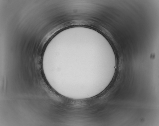 X0000111610786200908141252