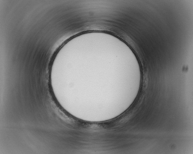 X0000111610787200908141252