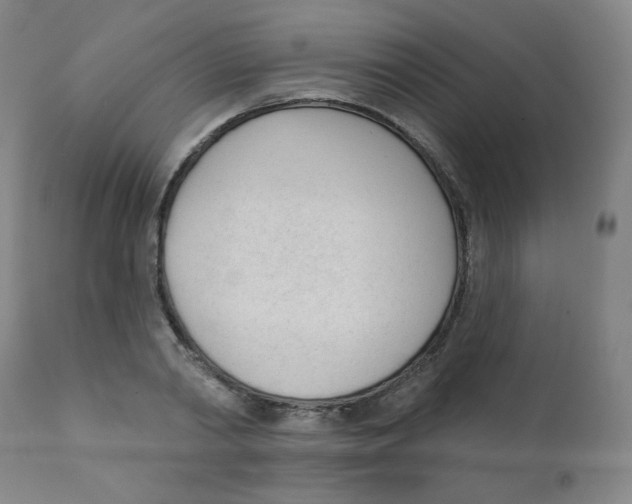 X0000111610790200908141252