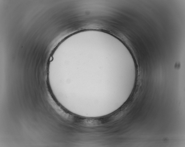 X0000111610795200908141252