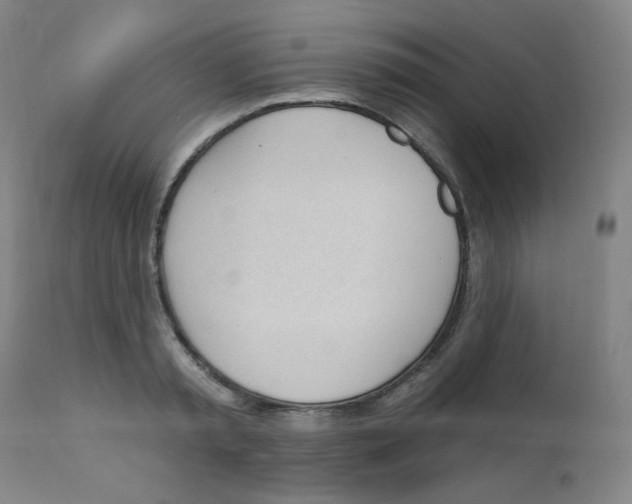 X0000111610797200908141252