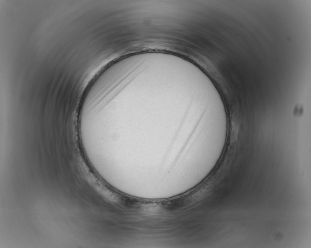 X0000111610798200908141252