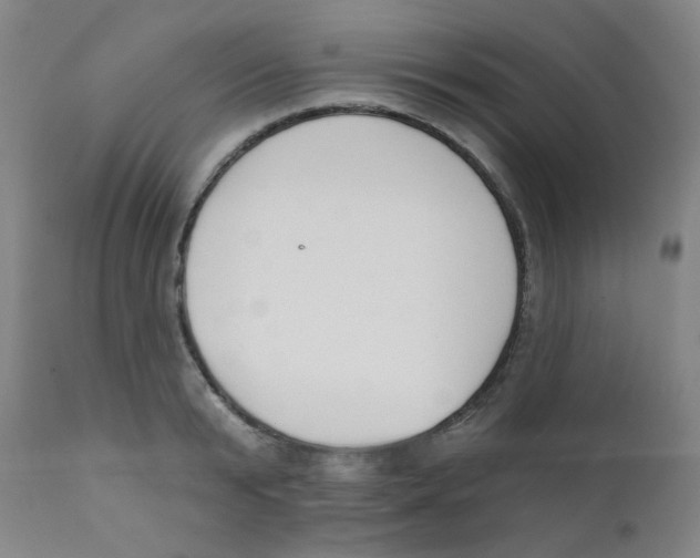 X0000111610799200908141252