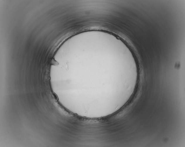 X0000111610801200908141252