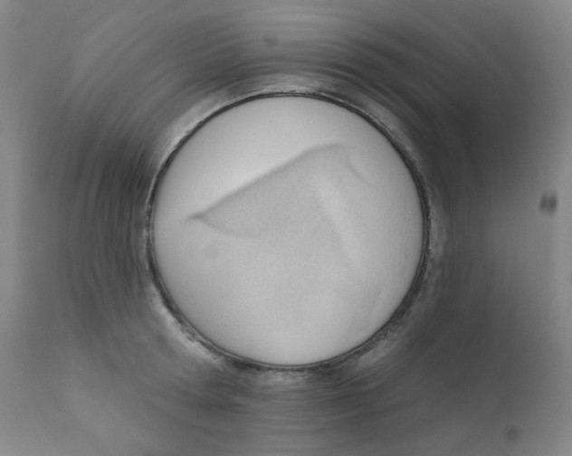 X0000111610802200908141252