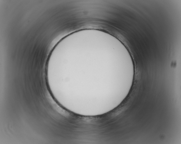 X0000111610803200908141252