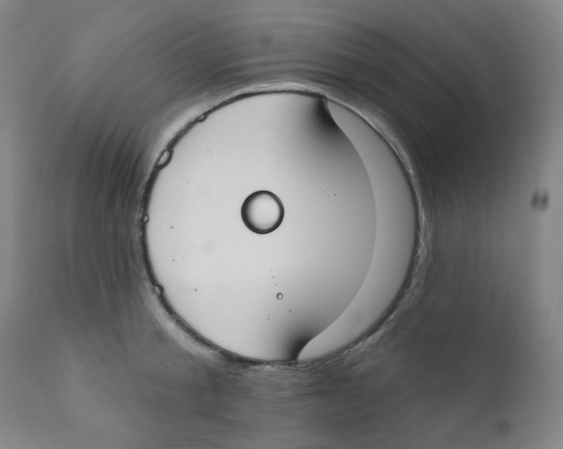 X0000111610805200908141252