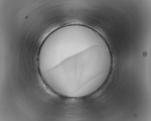 X0000111610806200908141252
