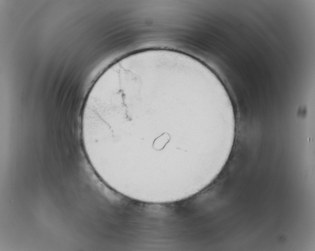 X0000111610807200908141252