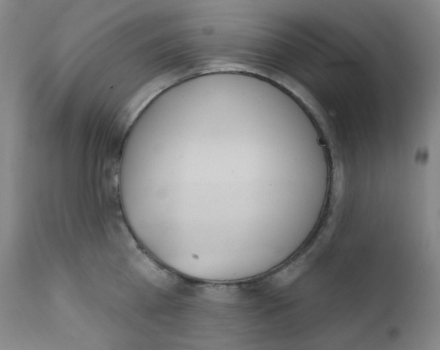 X0000111610809200908141252