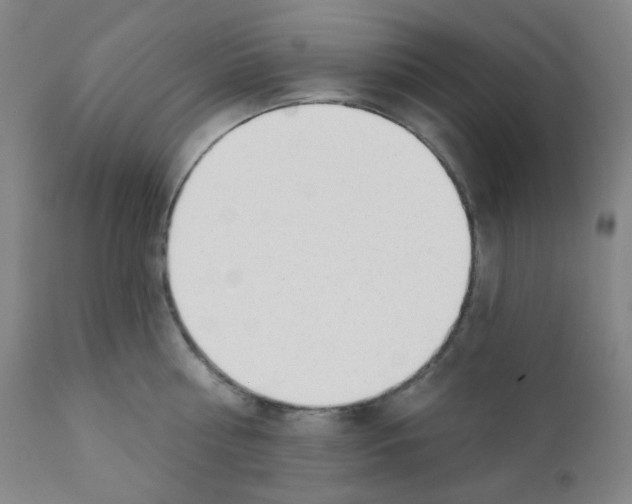 X0000111610810200908141252