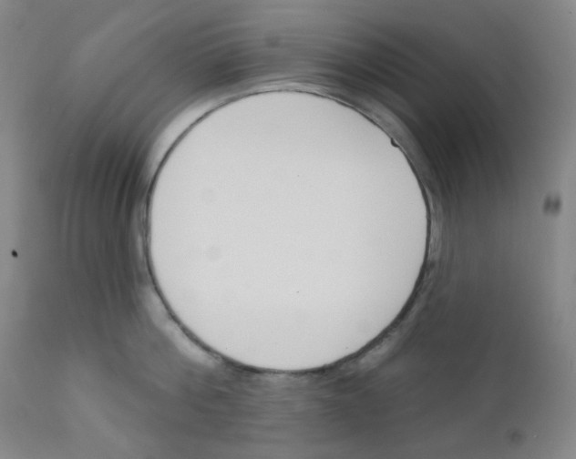 X0000111610812200908141252