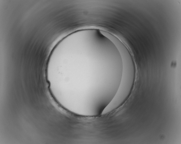 X0000111610813200908141252