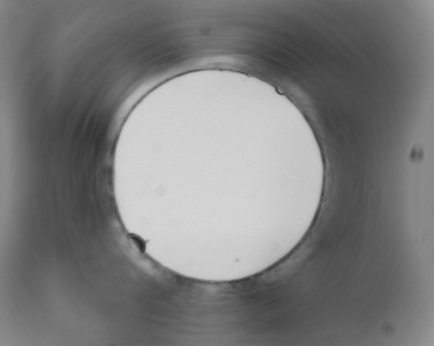 X0000111610816200908141252