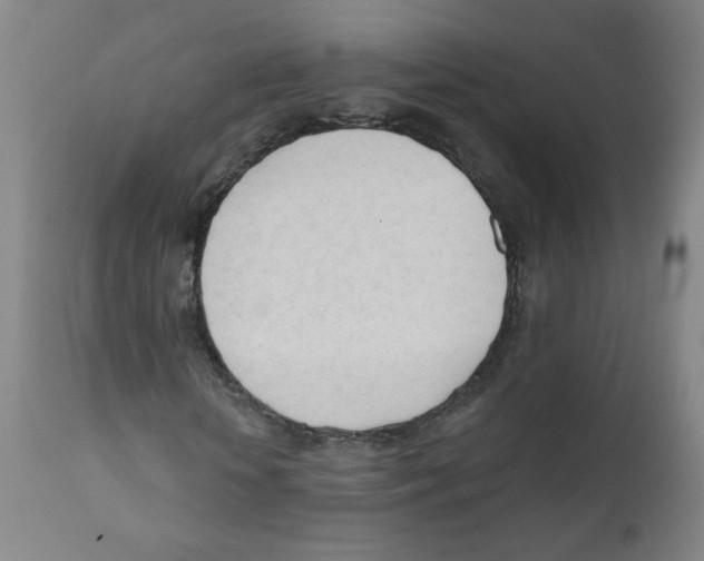 X0000111610818200908141251