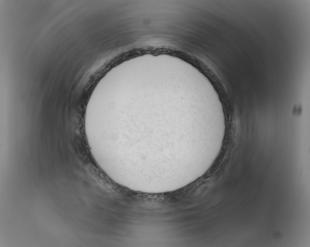 X0000111610823200908141251