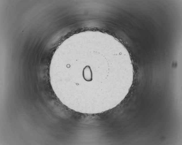 X0000111610824200908141251