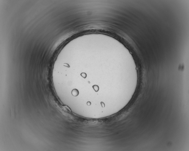 X0000111610826200908141251