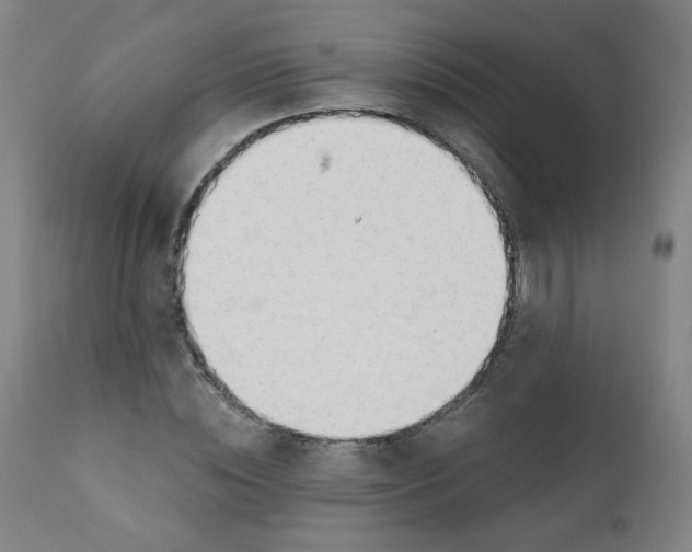 X0000111610828200908141251