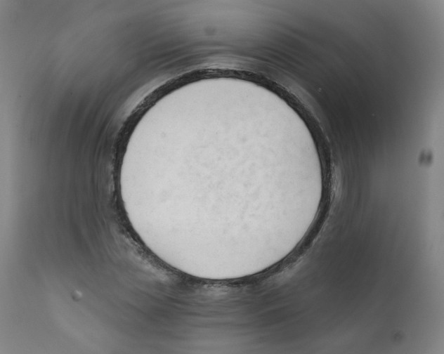 X0000111610829200908141251